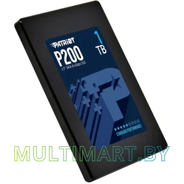 SSD диск Patriot P200 1TB (P200S1TB25) картинка 3
